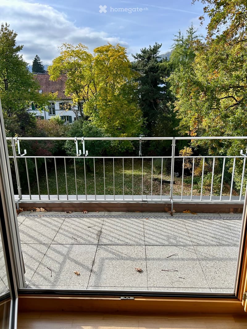 Balcony with concrete floor, metal railing, and view of trees and houses.