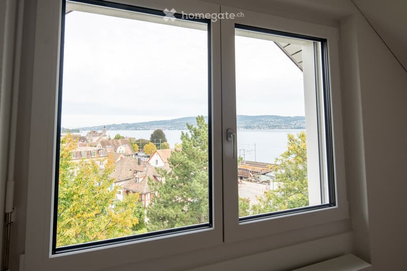 View from a room with large windows showing a scenic landscape of a lake, distant hills, and a town with houses and trees.