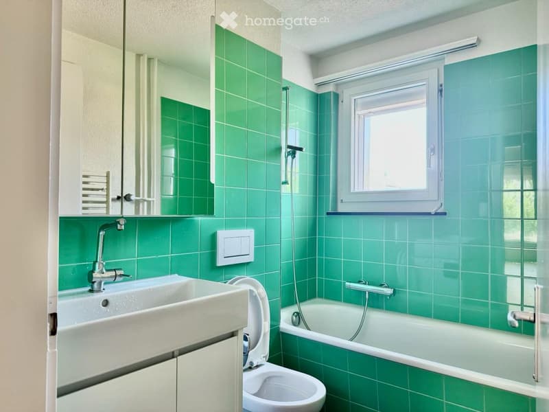 Bathroom with green tiled walls, a white sink with a chrome faucet, a toilet, a bathtub, a mirror, and a shower hose.