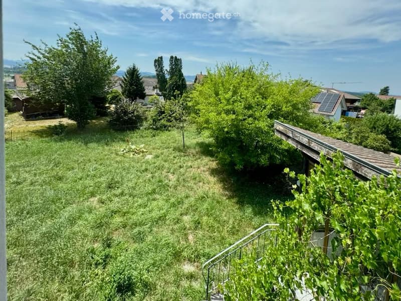 A grassy outdoor area with trees, a small staircase, and neighboring houses visible in the background.