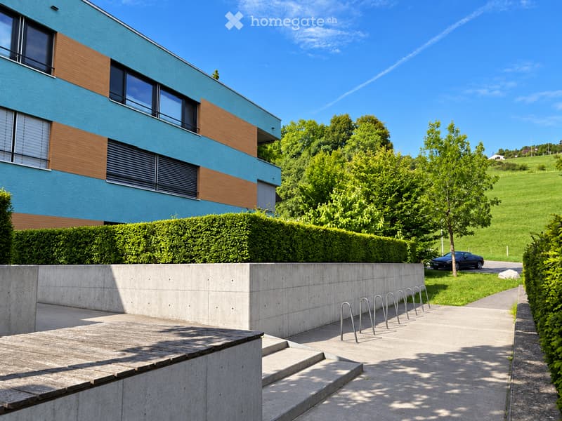 Modern building with blue and brown facade, large windows, and a raised ground floor entrance. The surrounding area includes a concrete platform, steps, bike racks, and greenery.