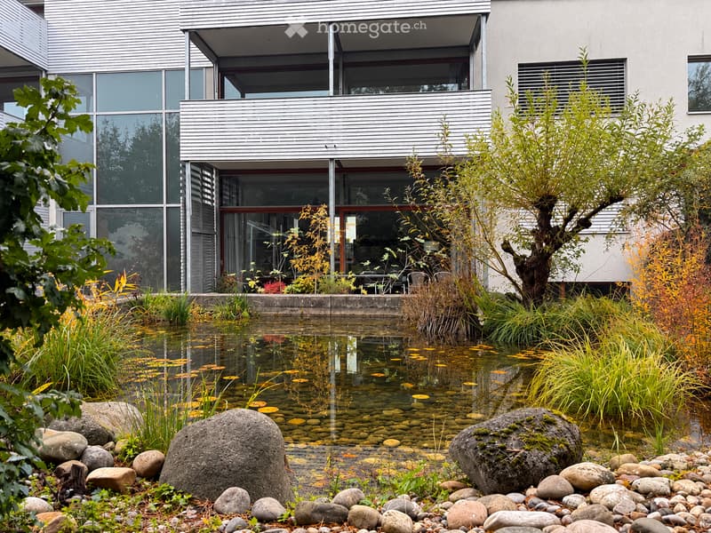 Modern house with a reflective pond, surrounded by rocks, plants, and a small tree. The house features large windows and a raised balcony.