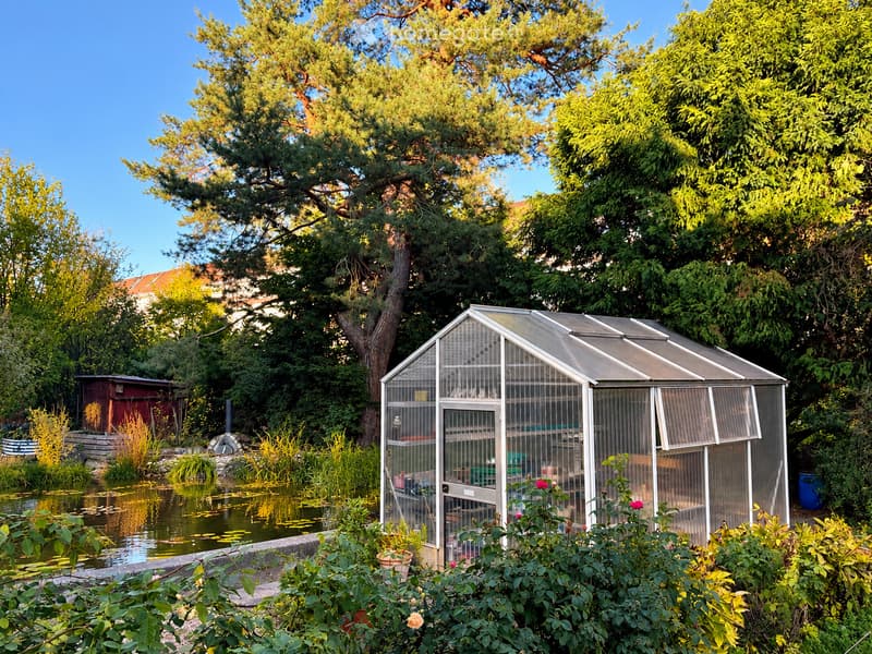A lush garden with a greenhouse, pond, and various plants and trees, surrounded by greenery and a clear blue sky.