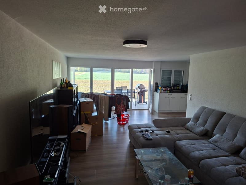 Living room with a grey sectional sofa, glass coffee table, TV, and several cardboard boxes. The room has large windows and a view of a field outside. There is a small kitchen area visible in the background with a white cabinet and a grill on the patio.