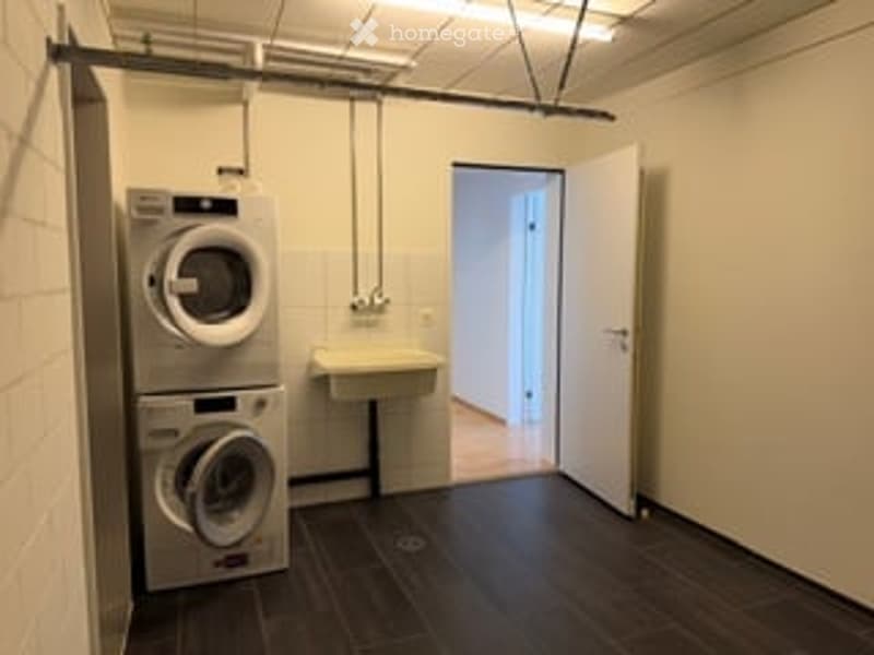 Laundry room with a washing machine, sink, and dark wooden flooring.