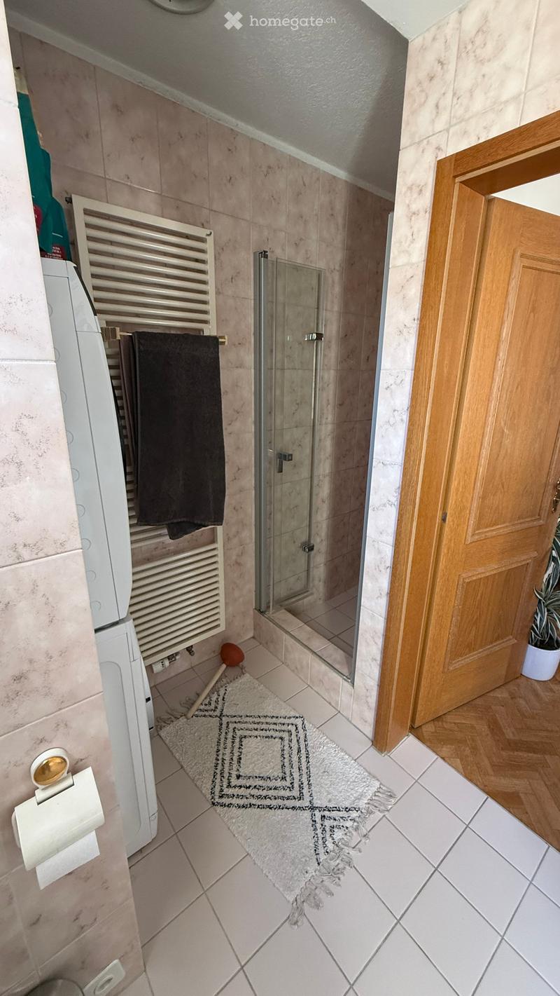 A narrow hallway with tiled floors, a white radiator, a towel, a small rug, a glass shower enclosure, and a wooden door.