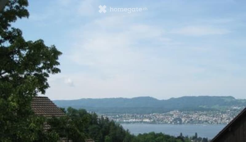 Scenic outdoor view showing a lake, distant mountains, and a town across the water, with trees and a roof visible in the foreground.