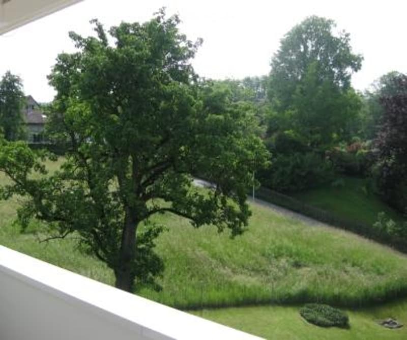 Balcony overlooking a green garden with trees and a road beyond.