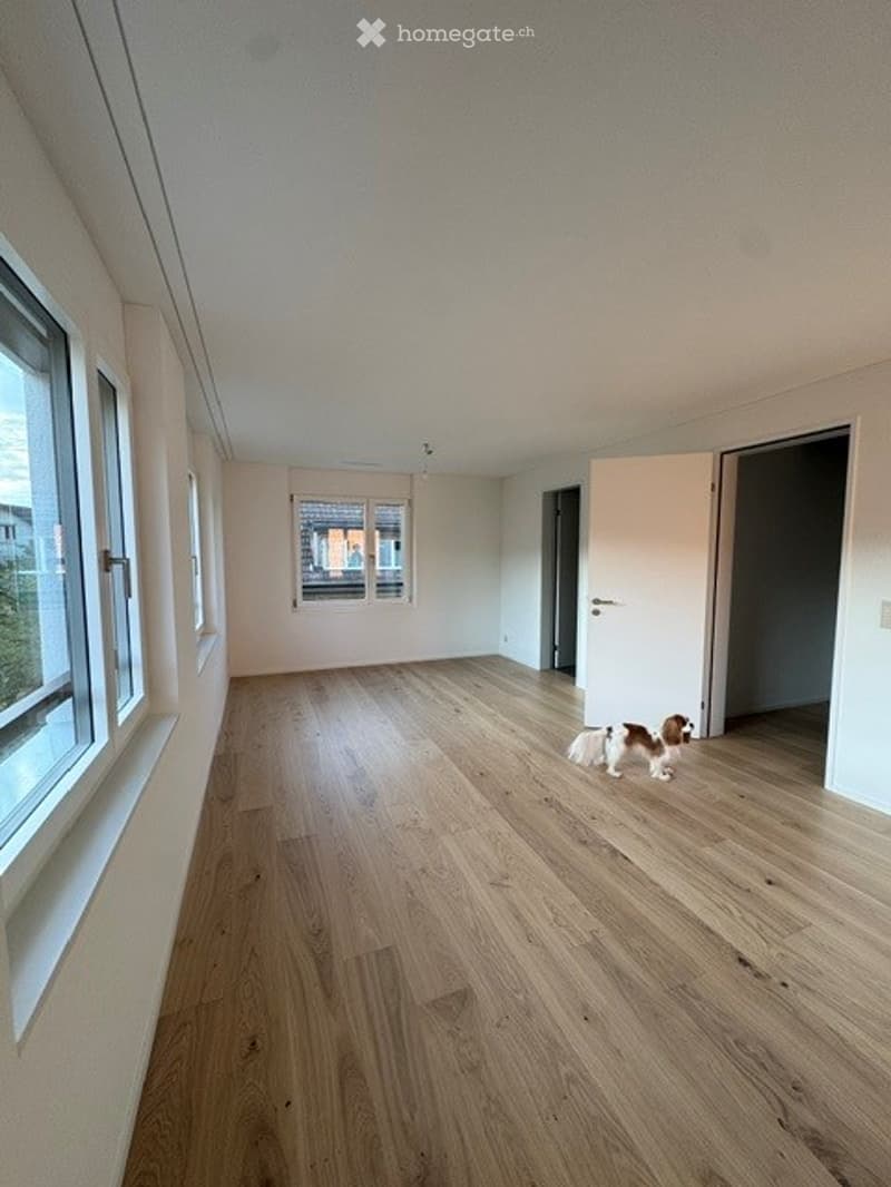 Empty room with wooden flooring, white walls, large windows, and a small dog visible in the corner.