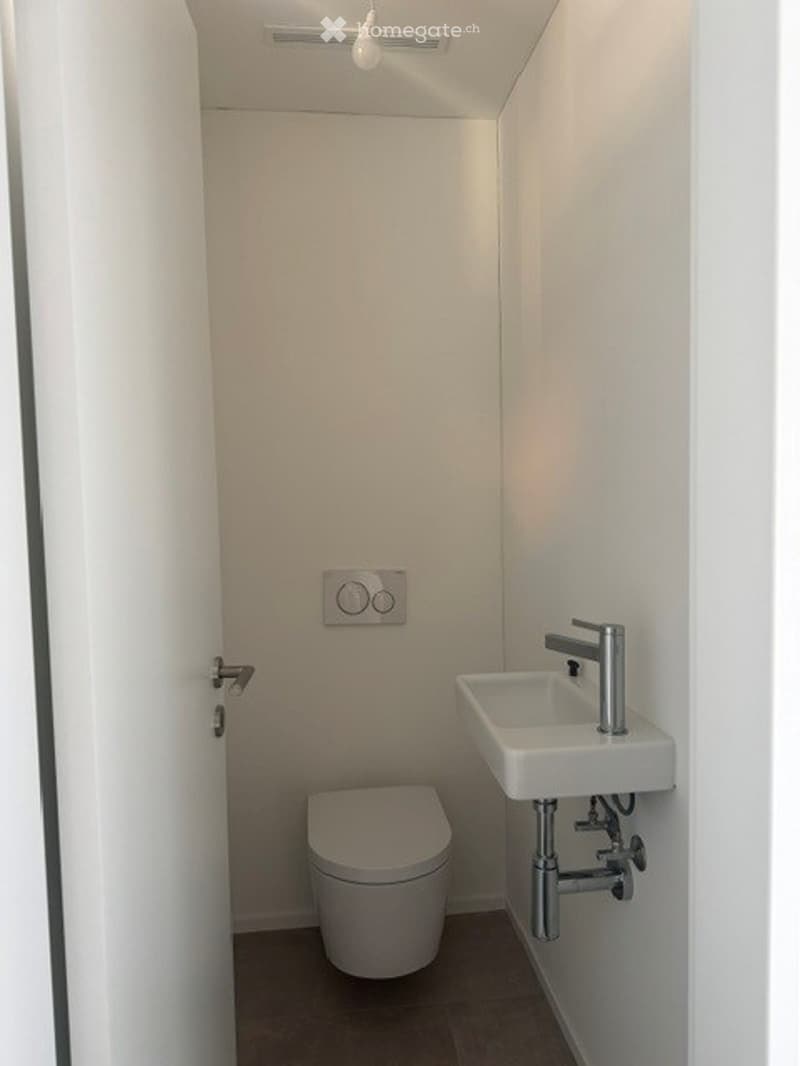 Modern, compact bathroom with white walls, a toilet, a sink with a chrome faucet, and a light fixture on the ceiling.