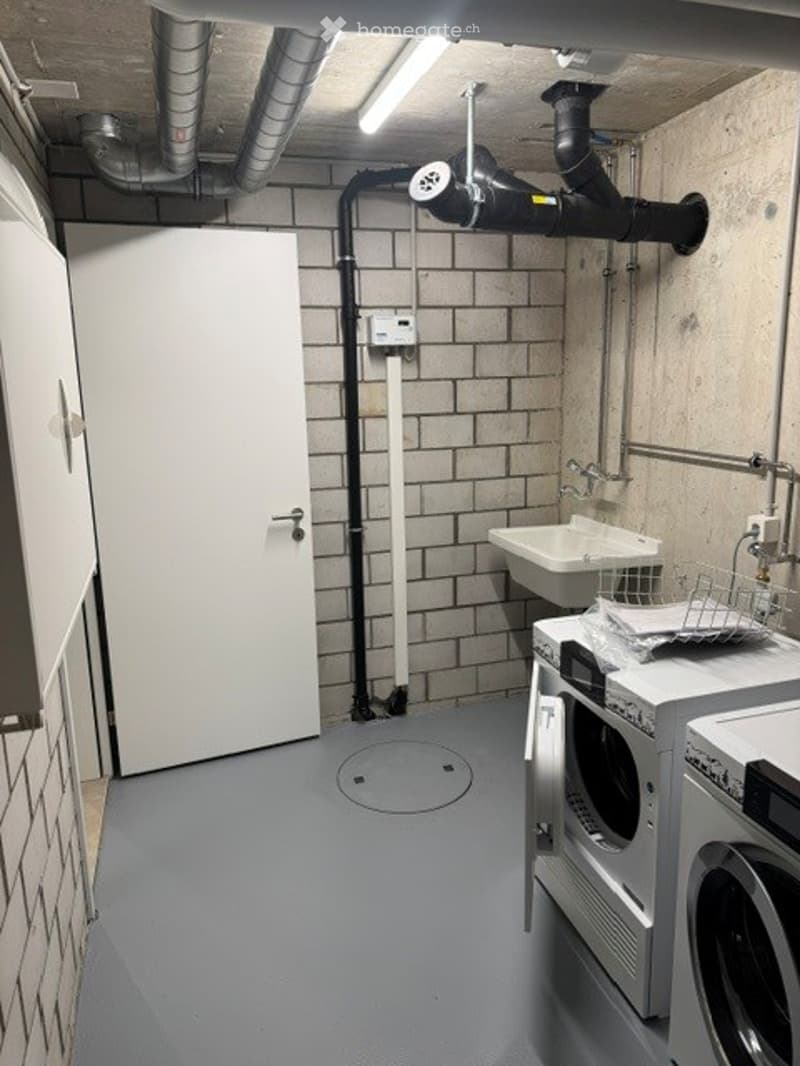 Utility room with a sink, washing machine, dryer, and exposed pipes. The room features a grey floor, white brick walls, and a white door.