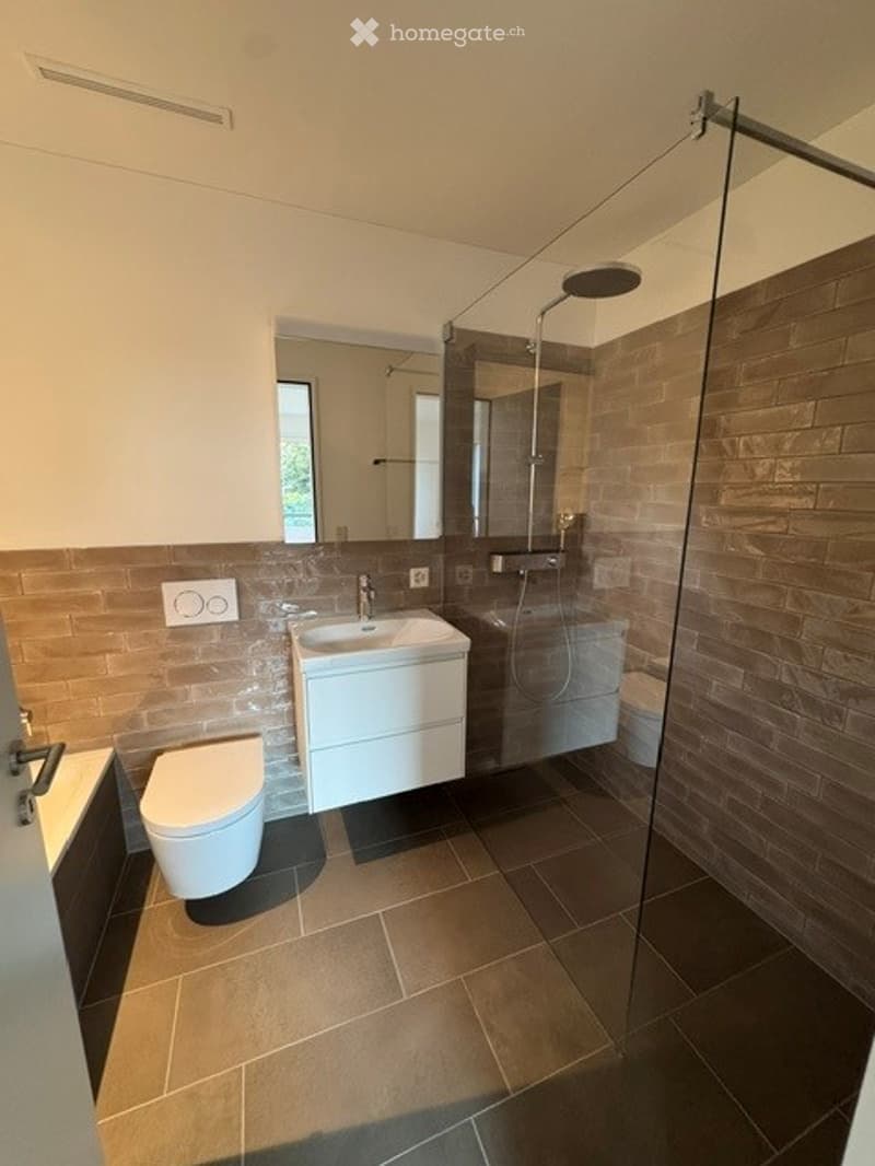 Modern bathroom with a white sink, toilet, large mirror, and a glass-enclosed shower with a modern showerhead.