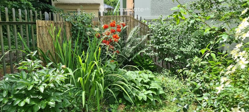 A lush garden with a variety of plants, including tall grasses, shrubs, and flowering bushes, enclosed by a wooden fence and bamboo screen.