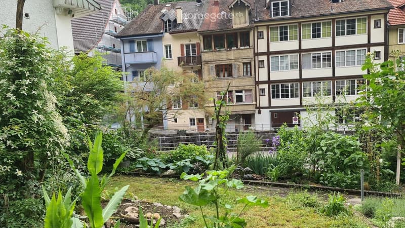 A lush garden with various plants and flowers, surrounded by traditional European houses with pitched roofs and balconies.