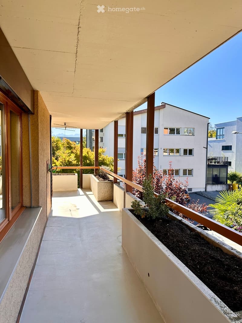 Balcony with concrete floor, wooden railing, and small planters with plants. The view shows neighboring buildings and a clear blue sky.