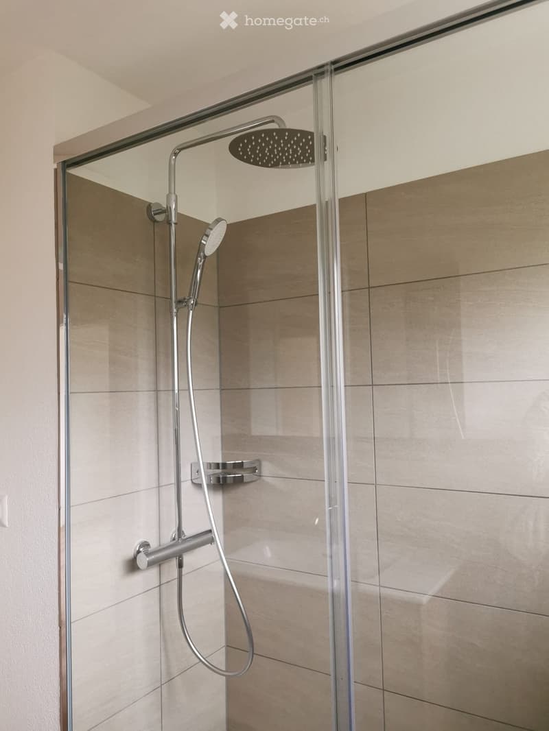 Modern shower area with a glass enclosure, a handheld showerhead, and a fixed overhead showerhead. Beige tiles line the walls.