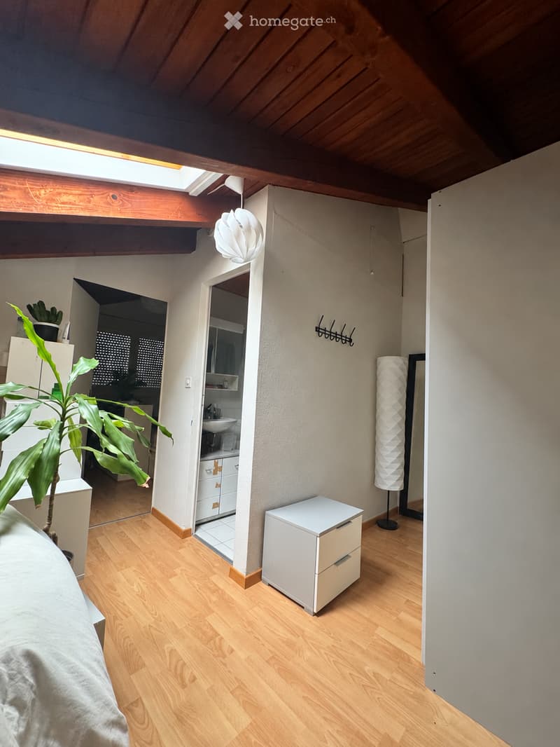Bright, airy room with wooden flooring, slanted wooden ceiling, skylight, and modern decor including a bed, drawer unit, floor lamp, and plant. An open kitchen area is visible in the background.