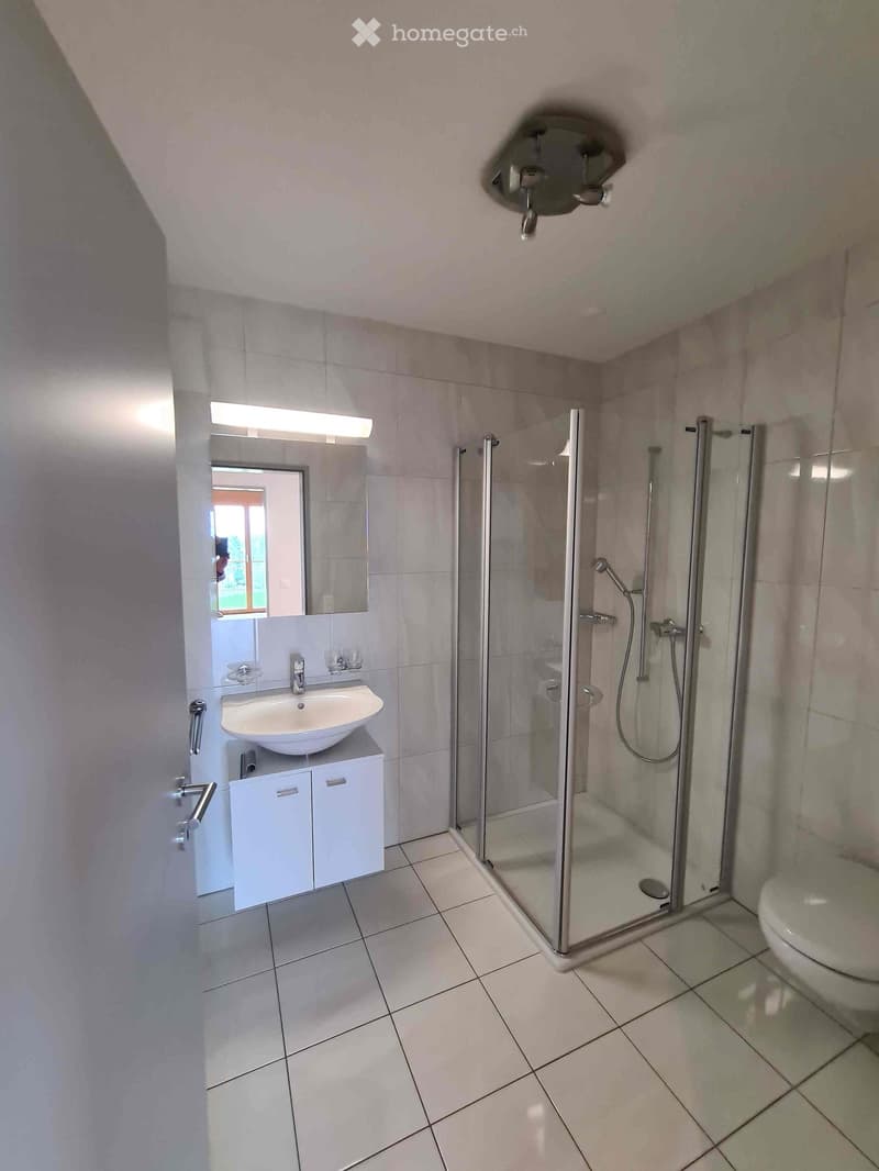 Modern bathroom with a white sink, mirror, cabinet, glass-enclosed shower, and toilet. Light-colored tiles and sleek fixtures.