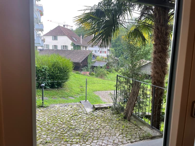 Balcony with stone pavement, metal railing, palm tree, and view of a green lawn and neighboring houses.