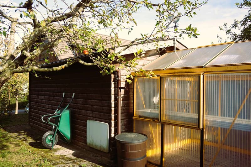 A wooden shed with a greenhouse attached, featuring a wheelbarrow, barrel, and tree in the background.