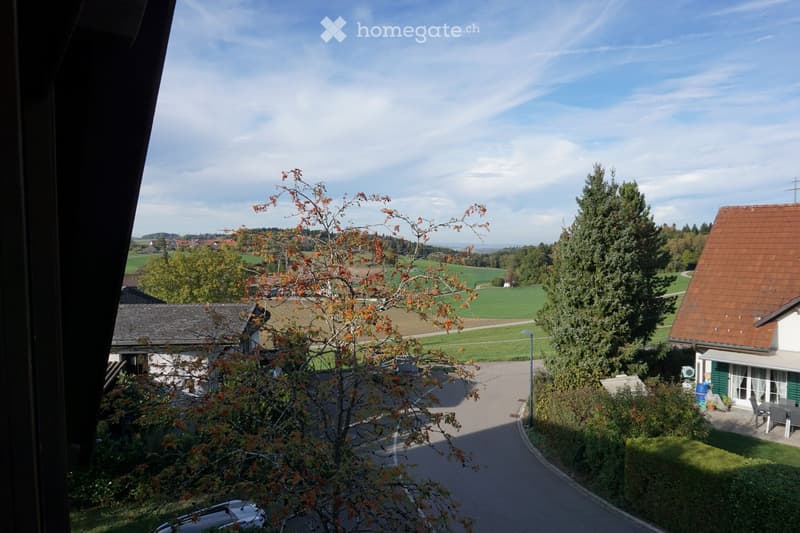 View from a window showing a rural landscape with houses, trees, and a clear sky.
