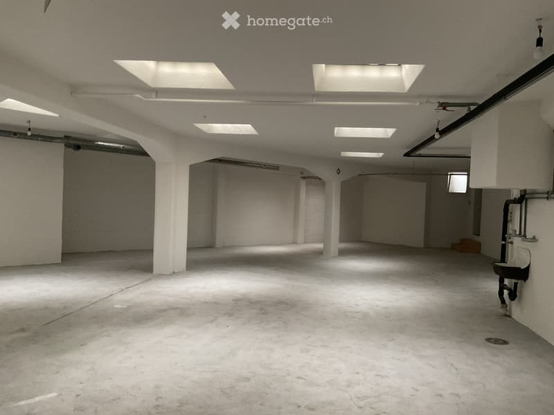 Empty underground parking space with concrete floors and walls, fluorescent lighting, and support pillars.