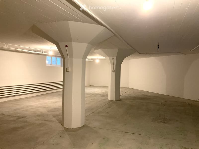 Empty underground space with concrete floor, white walls, and support pillars. Features a small window and fluorescent lighting.