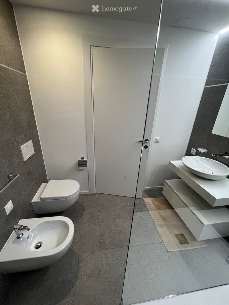 Abitazione ammobiliata a Paradiso (7)