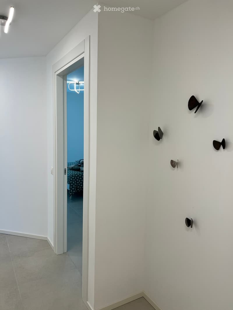 Abitazione ammobiliata a Paradiso (8)