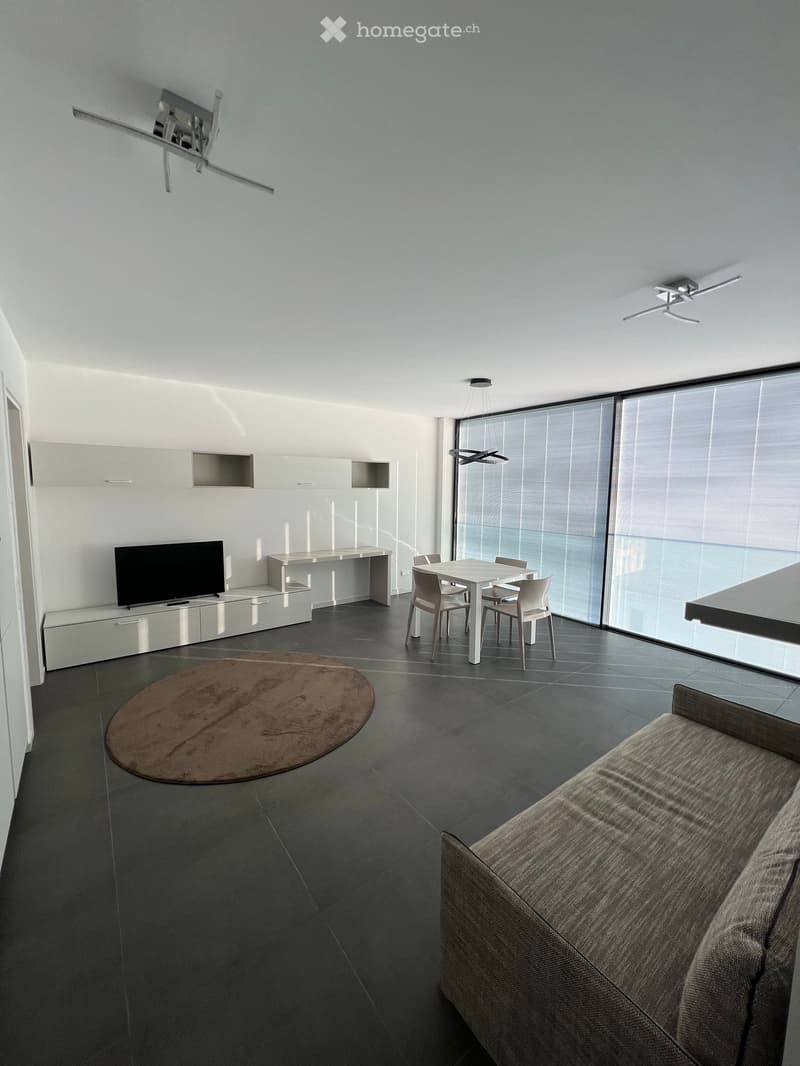 modern living room with white walls, gray floor, large windows, round rug, white furniture, flat screen TV, dining table, and chairs