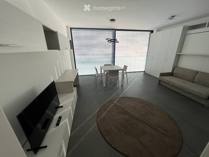 modern living room with white walls, gray floor, large windows, round rug, flat screen TV, dining table, couch