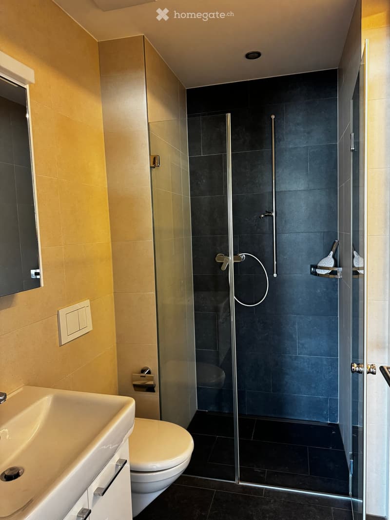 Modern bathroom with a glass-enclosed shower, dark tiles, a white sink, and a toilet. Includes a mirror and a shower shelf with accessories.