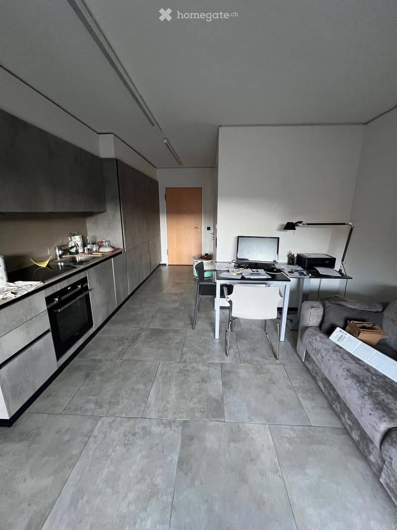 Modern open-plan living space with a grey sofa, desk with computer, chair, and a small kitchen area featuring an oven, sink, and faucet.