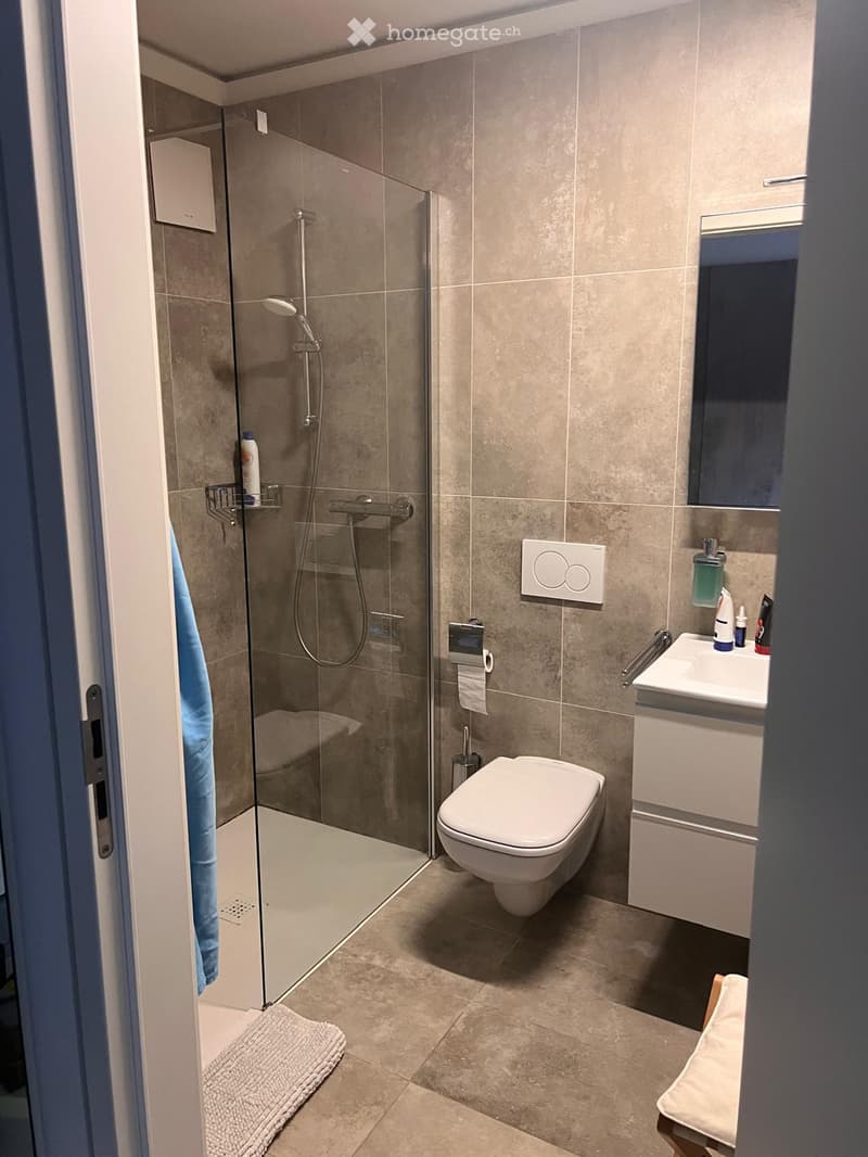 Modern bathroom with a glass-enclosed shower, toilet, sink, and mirror. Features tiled walls and floor, a towel on the floor, and various bathroom accessories.