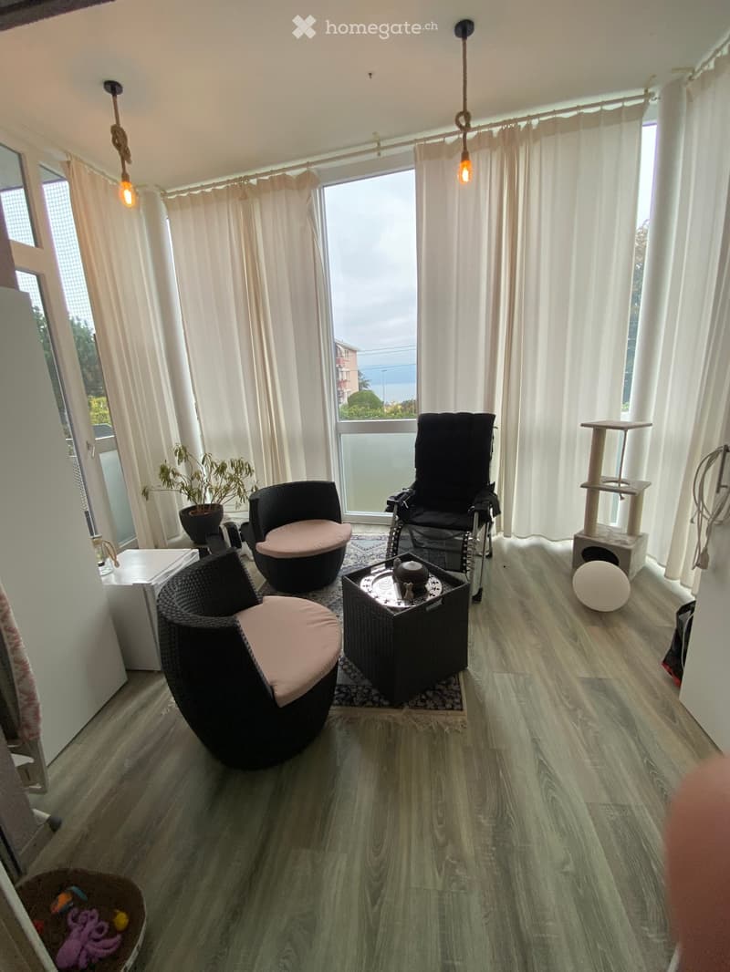A modern, well-lit room with wooden flooring, large windows with white curtains, and a view of the outdoors. The room features a black wicker chair with a pink cushion, a small black table with a teapot and decorative items, a cat tree, and a cat litter b