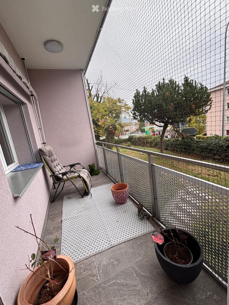 Balcony with a grey folding chair, two potted plants, and a small table.
