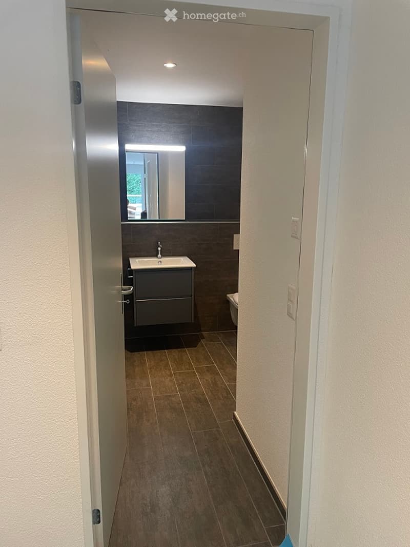 Small bathroom with toilet, shower, and a cabinet under the sink. White ceiling and tiled walls.