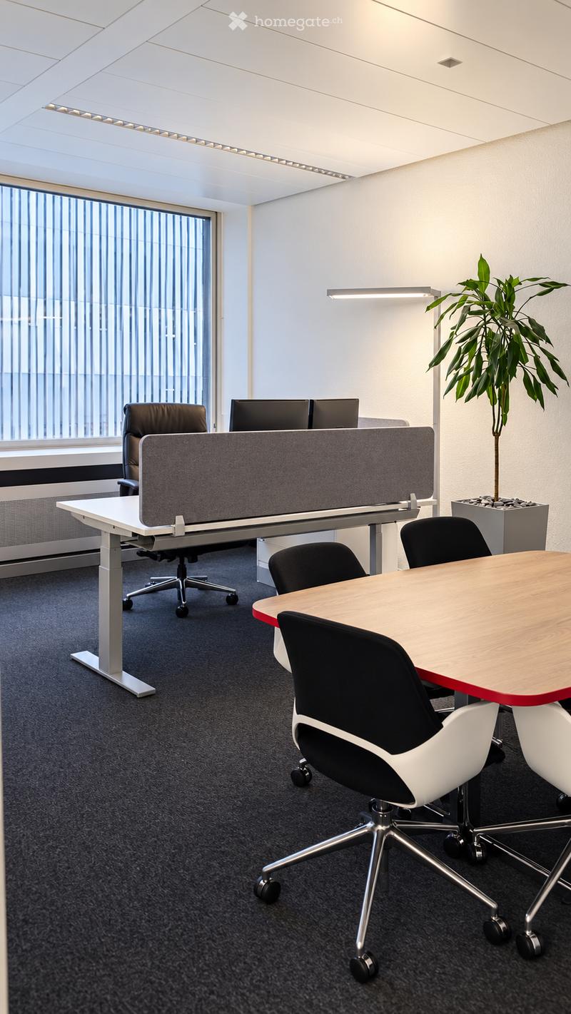 Modern office space with ergonomic chairs, desks, computer screens, and a potted plant near a large window with vertical blinds.