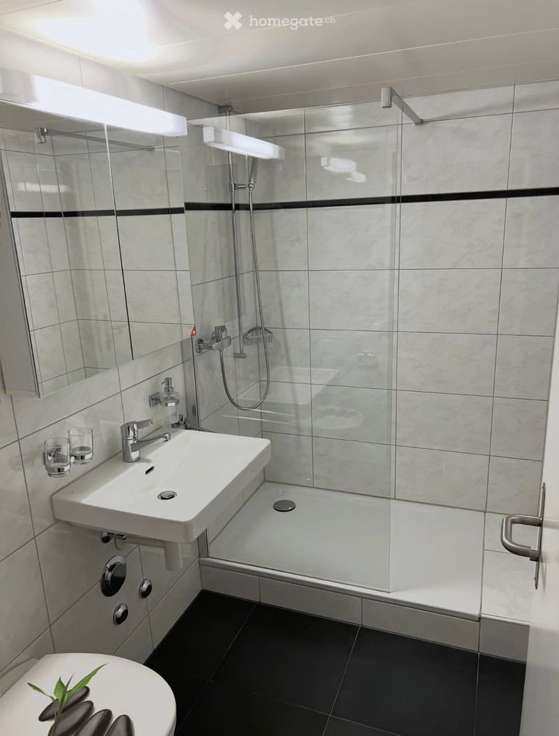 Modern bathroom with a white sink, mirror, glass-enclosed shower, and a toilet. The walls are tiled in light grey with black accents, and the floor is dark grey.