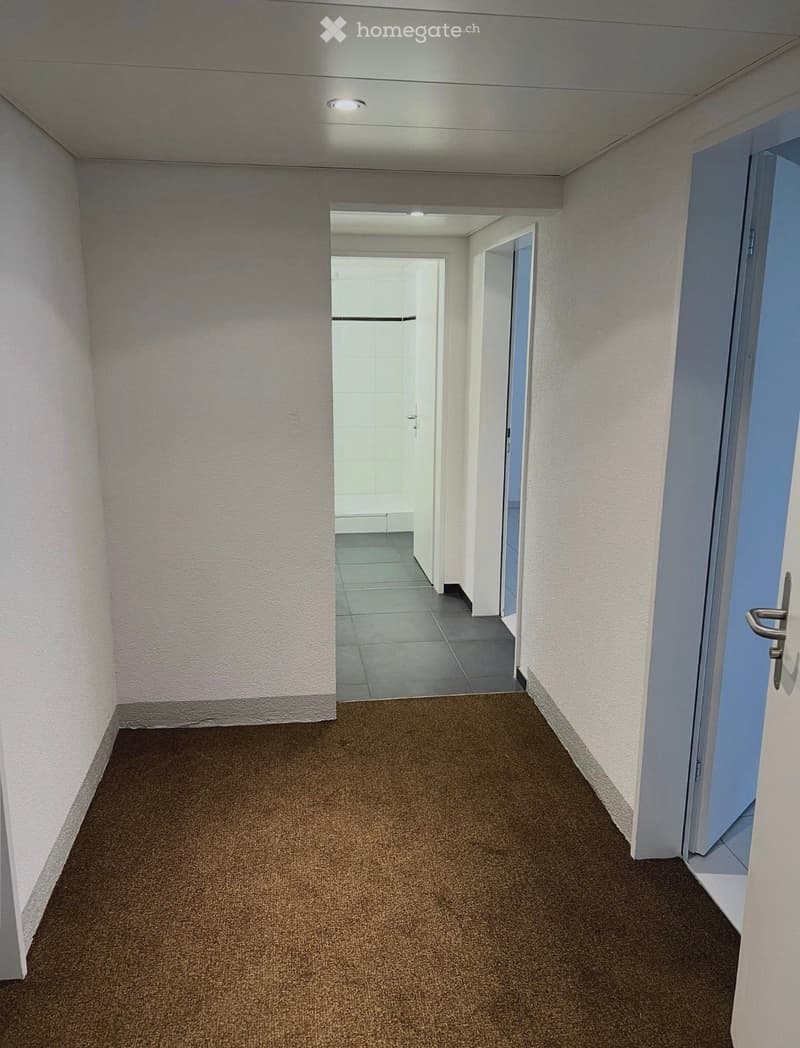 Empty hallway with beige walls, brown carpet, and white ceiling lights. Doors lead to other rooms.