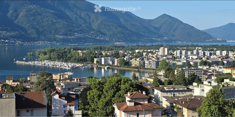 Aerial view of a city with many buildings, mountains, and a lake.
