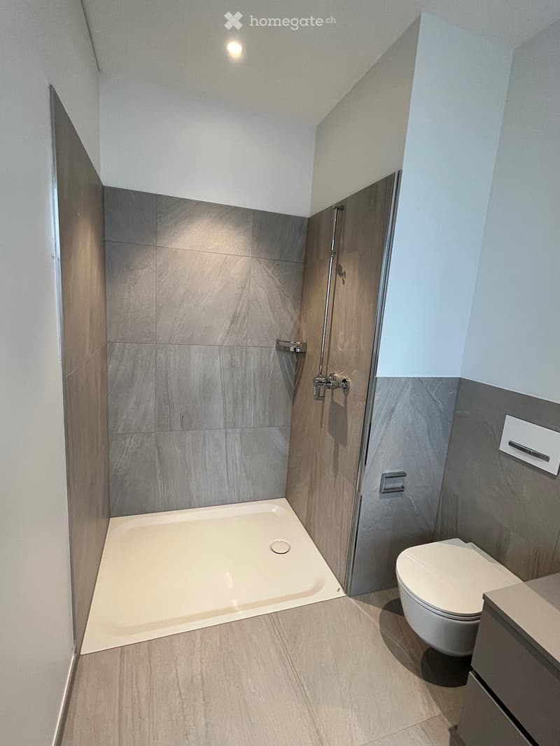 Modern bathroom with a corner shower stall, a toilet, and a sleek faucet. The walls are tiled in a light grey color, and the floor is covered with light wood tiles.