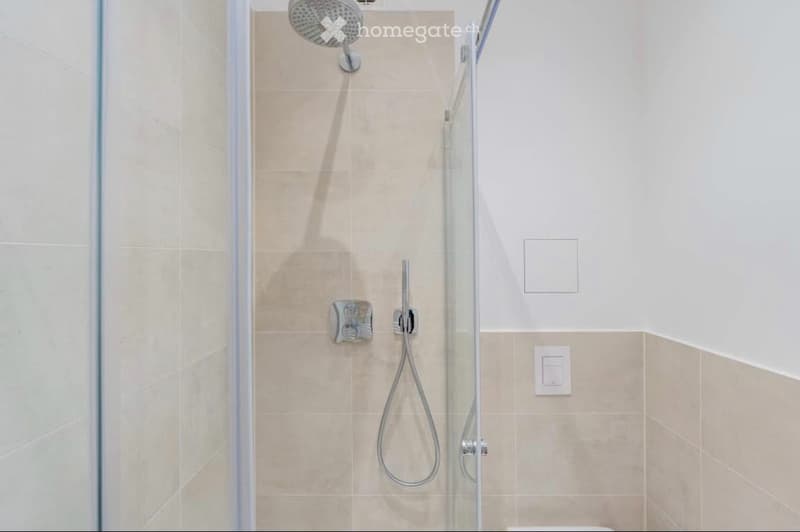 Modern shower area with a glass enclosure, a handheld shower hose, and a fixed showerhead. Beige tiles and white walls.