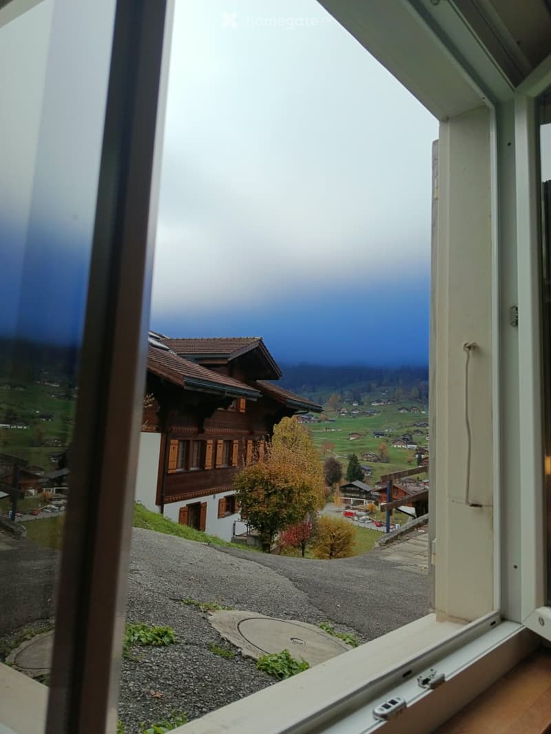 View from a balcony overlooking a rural village with traditional wooden houses, autumn trees, and a winding road.