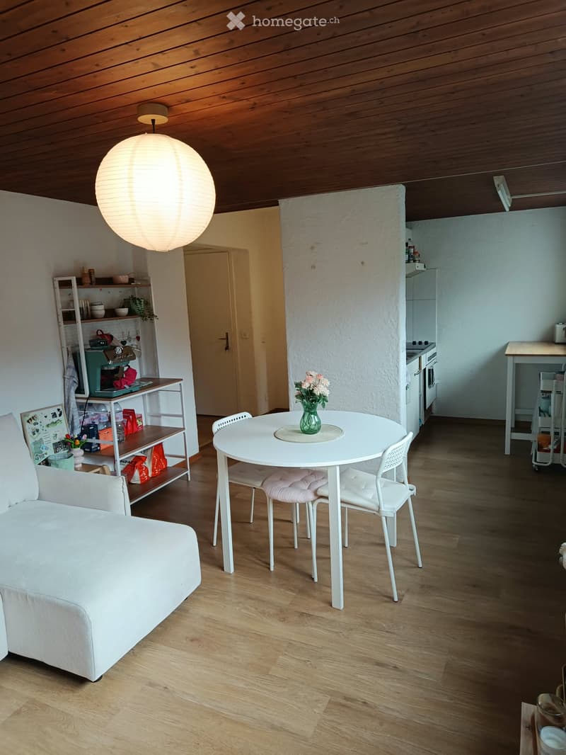 A modern, open-concept living and dining area with a white sofa, round dining table with chairs, a shelf with various items, and a hanging lamp.