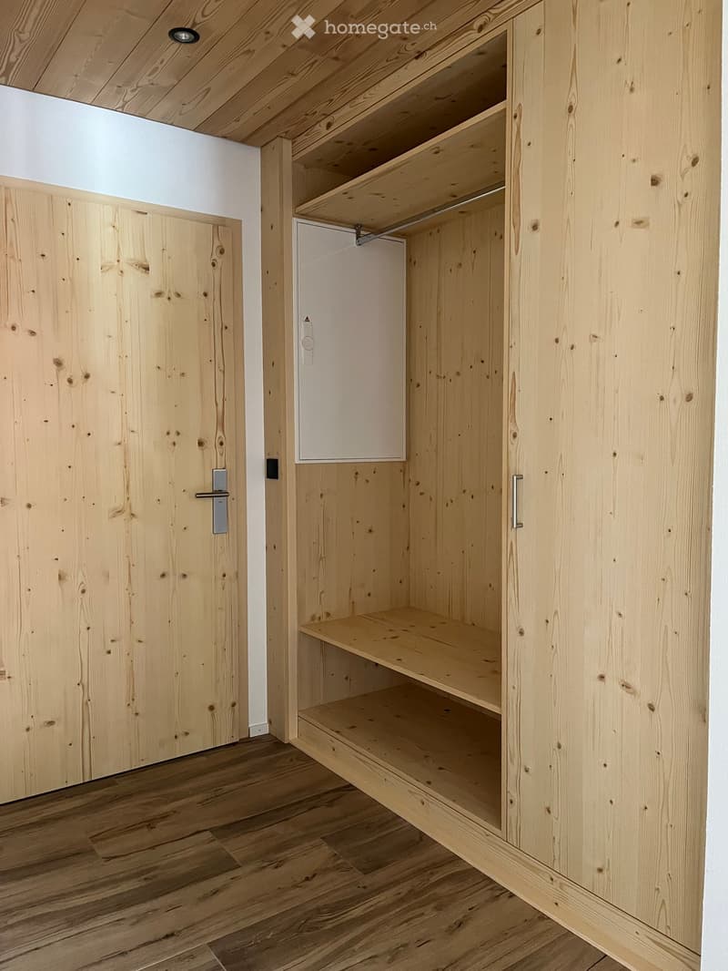 Empty wooden closet with shelves and a sliding door, featuring a light wood finish and modern hardware.