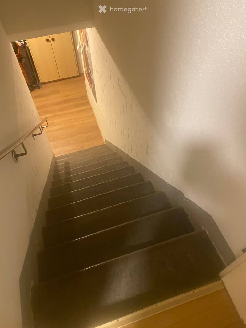 Spiral staircase with dark carpeted steps and wooden handrail, leading to an open area with wooden flooring and a closet visible at the top.