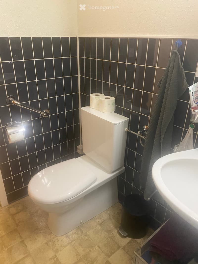 Bathroom with a toilet, sink, and towel hanging on a rack. Toilet paper is placed on top of the toilet tank, and a trash bin is visible on the floor.