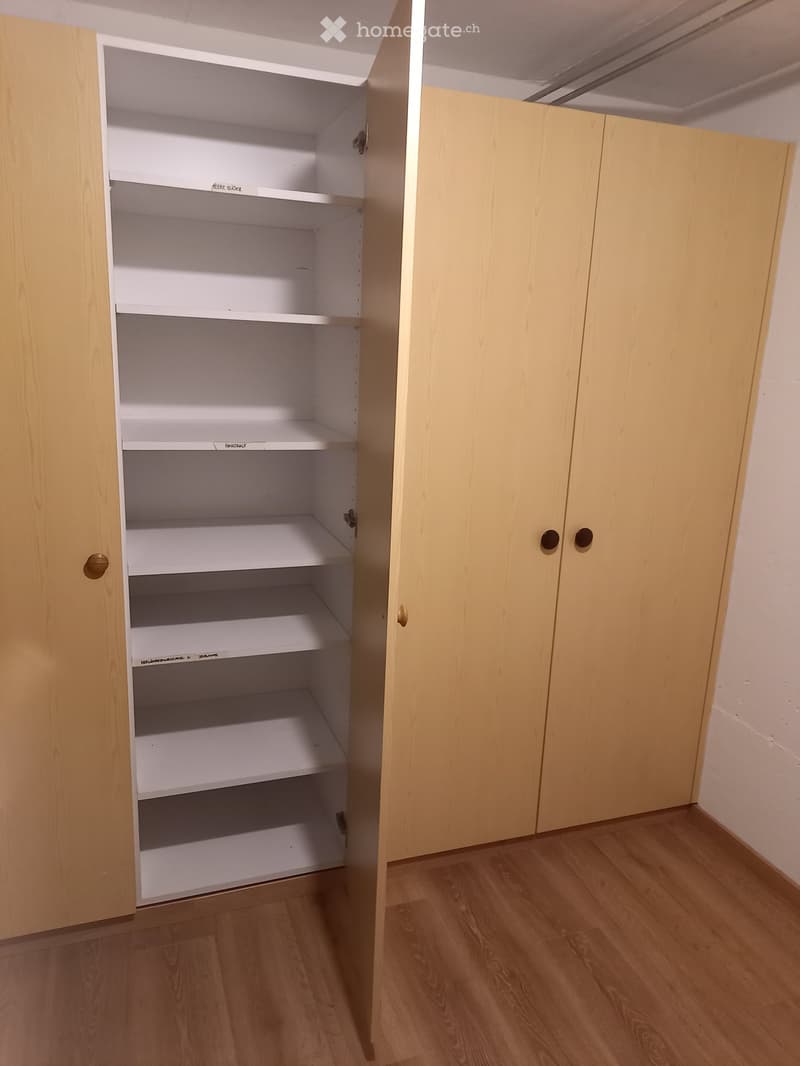 Empty room with light wooden flooring and a set of built-in white shelves in the corner.