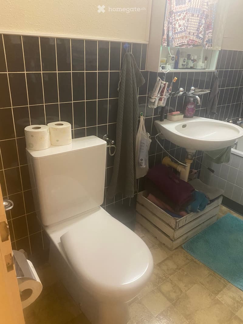 A small bathroom with a toilet, sink, mirror, and various toiletries. The walls are tiled in dark blue and white, and there is a wooden shelf holding towels and other items.